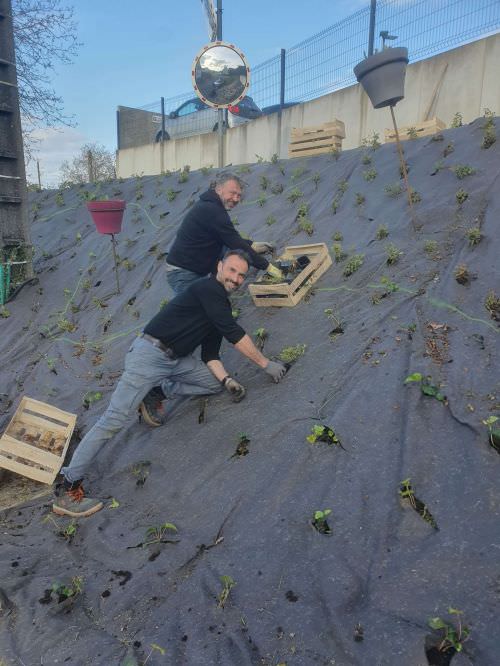 Embellissement des espaces partagés 2024 Image de Embellissement des espaces partagés 2024