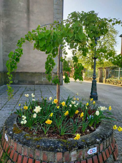 Embellissement des espaces partagés 2024 Image de Embellissement des espaces partagés 2024