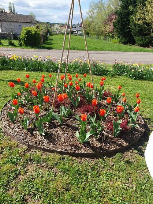 Embellissement des espaces partagés 2024 Image de Embellissement des espaces partagés 2024