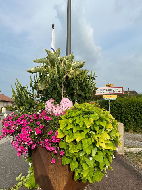 Embellissement des espaces partagés 2024 Image de Embellissement des espaces partagés 2024