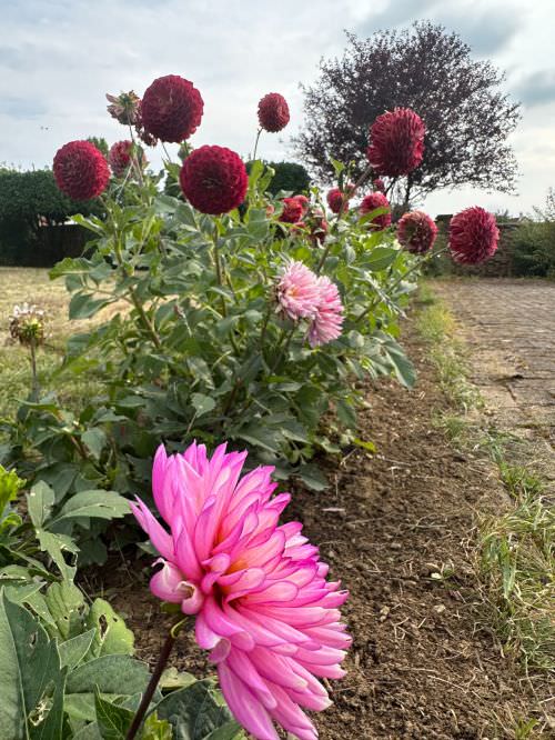 Embellissement des espaces partagés 2024 Image de Embellissement des espaces partagés 2024