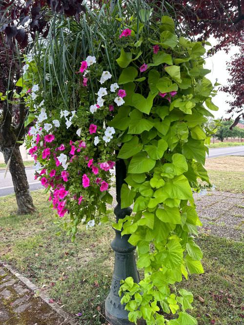 Embellissement des espaces partagés 2024 Image de Embellissement des espaces partagés 2024