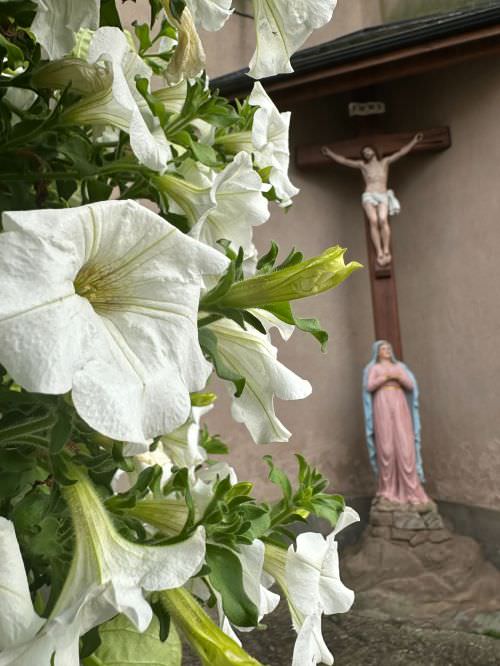 Embellissement des espaces partagés 2024 Image de Embellissement des espaces partagés 2024