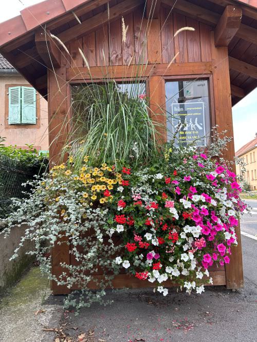 Embellissement des espaces partagés 2024 Image de Embellissement des espaces partagés 2024