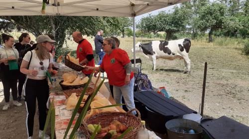 Image de Marche Gourmande #2