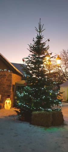 Image de Veillée de Noël #2