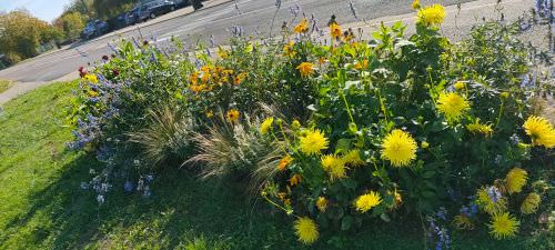 Image de Embellissement des espaces partagés 2022