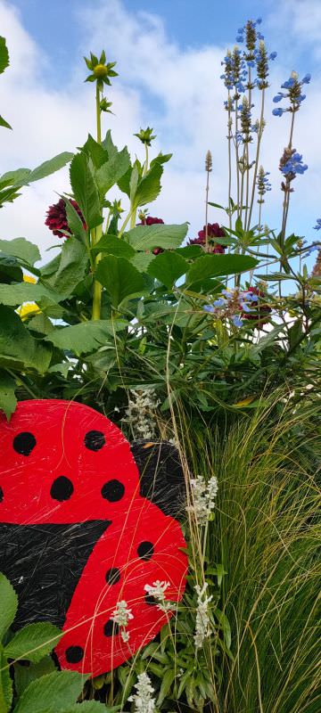 Image de Embellissement des espaces partagés 2022