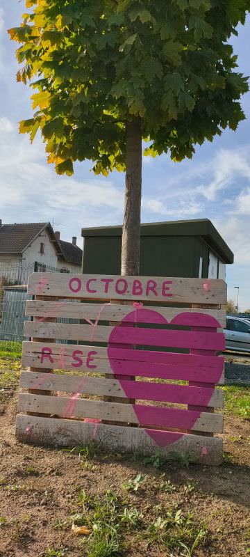 Image de Embellissement des espaces partagés 2022