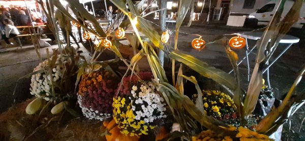 Image de Marché Thématique des Producteurs