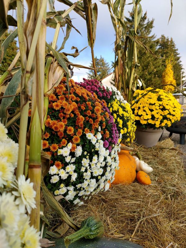 Image de Marché Thématique des Producteurs
