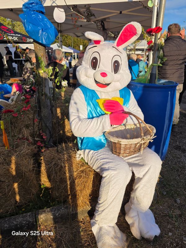 Image de Marché Thématique de Producteurs