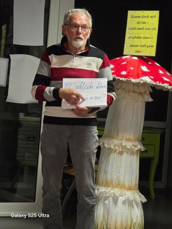 Image de Les Pieds dans le Platt