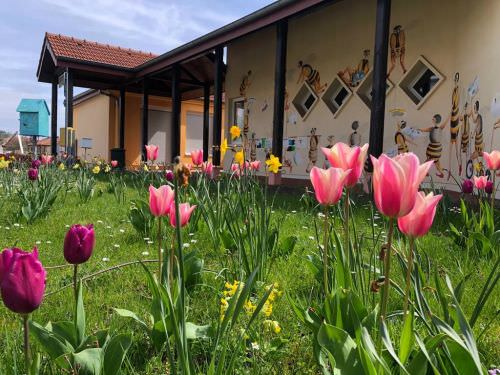 L’école maternelle « la Petite Ruche » Image de L’école maternelle « la Petite Ruche »