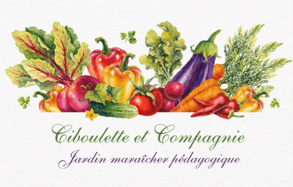 Image de Ciboulette et compagnie